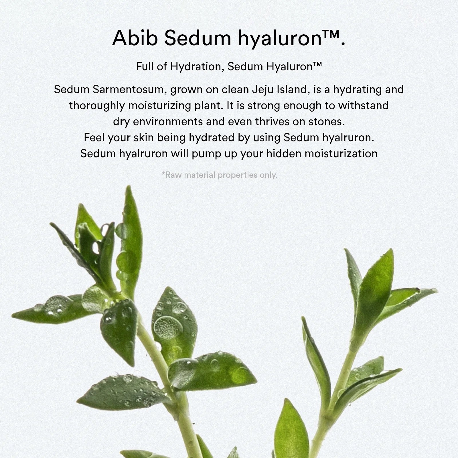 [Abib] Sedum Hyaluron Pad Hydrating Touch - 75 pads