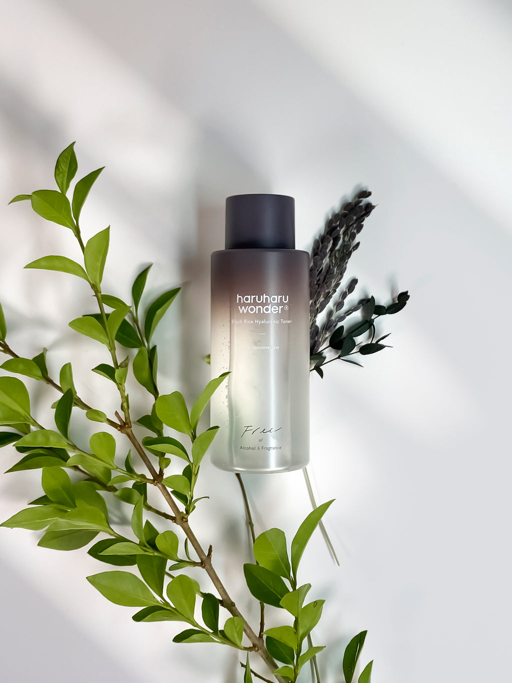 [haruharuwonder] Black Rice Hyaluronic Toner for Sensitive Skin - 3 Sizes